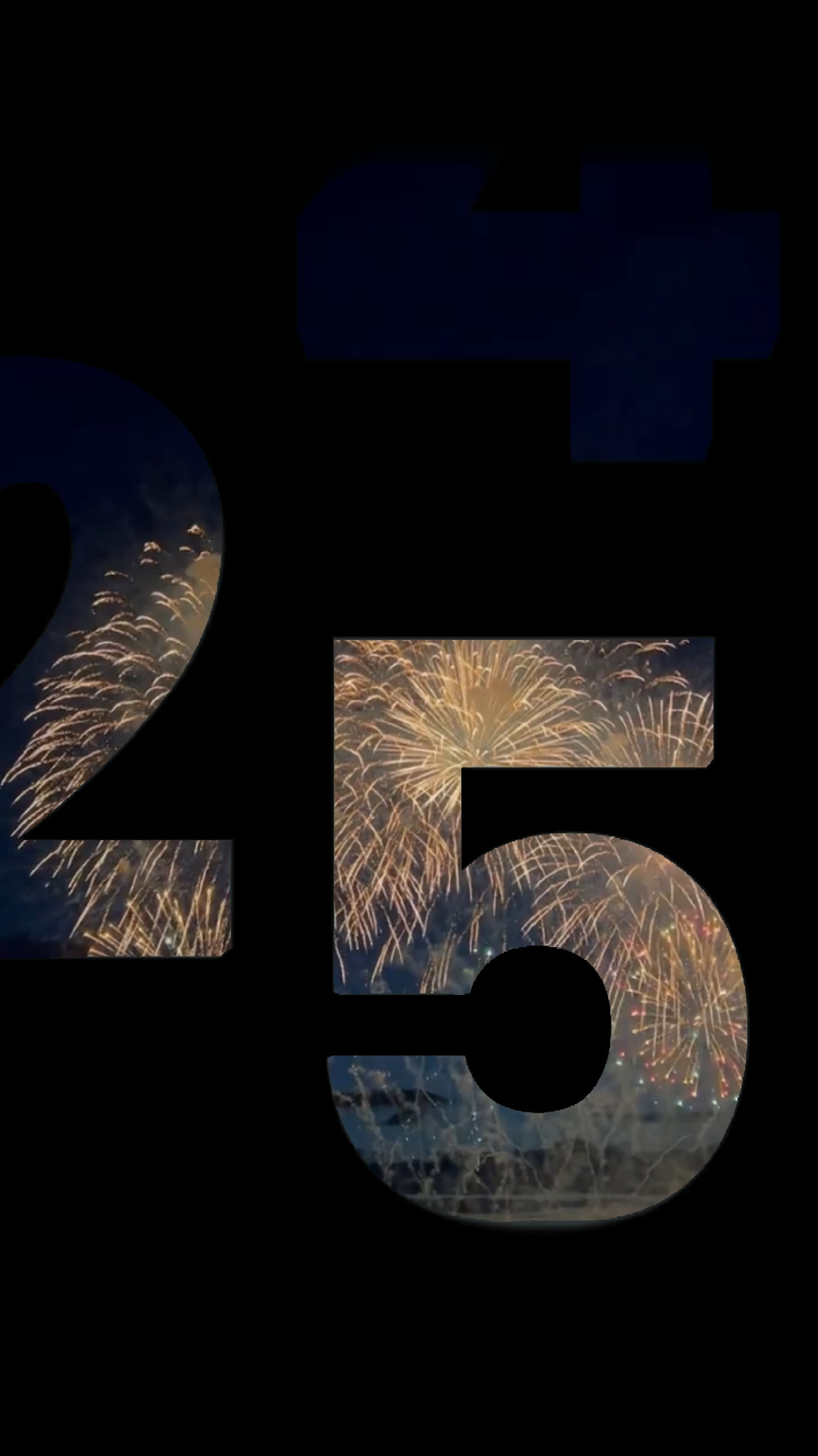 2025 ANILARI