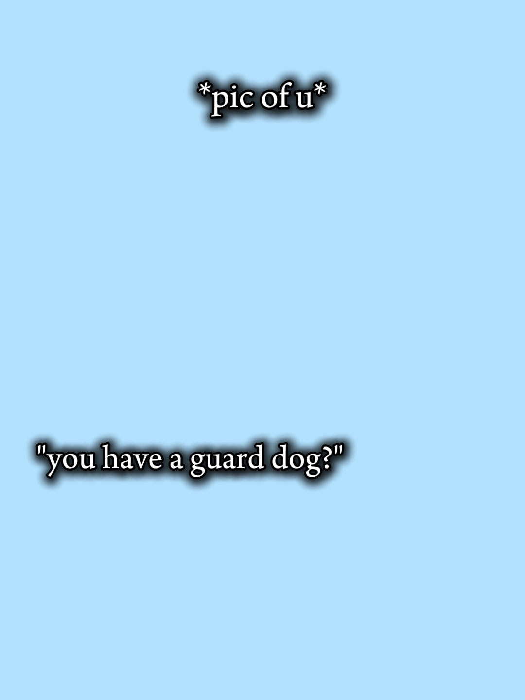 Perro guardián