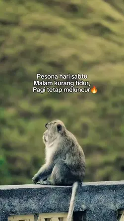 pesona hari sabtu