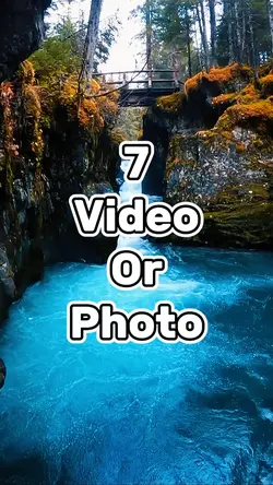 mini vlog