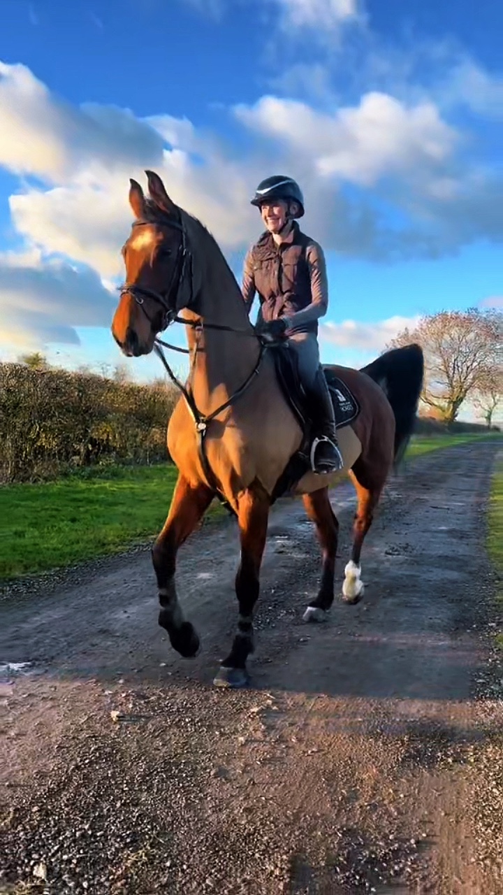 Caballo 