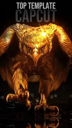 Eagle Intro Top