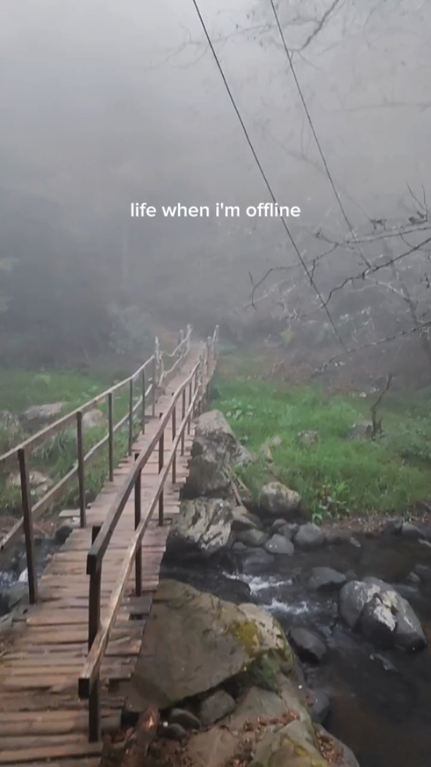 A vida quando estou offline