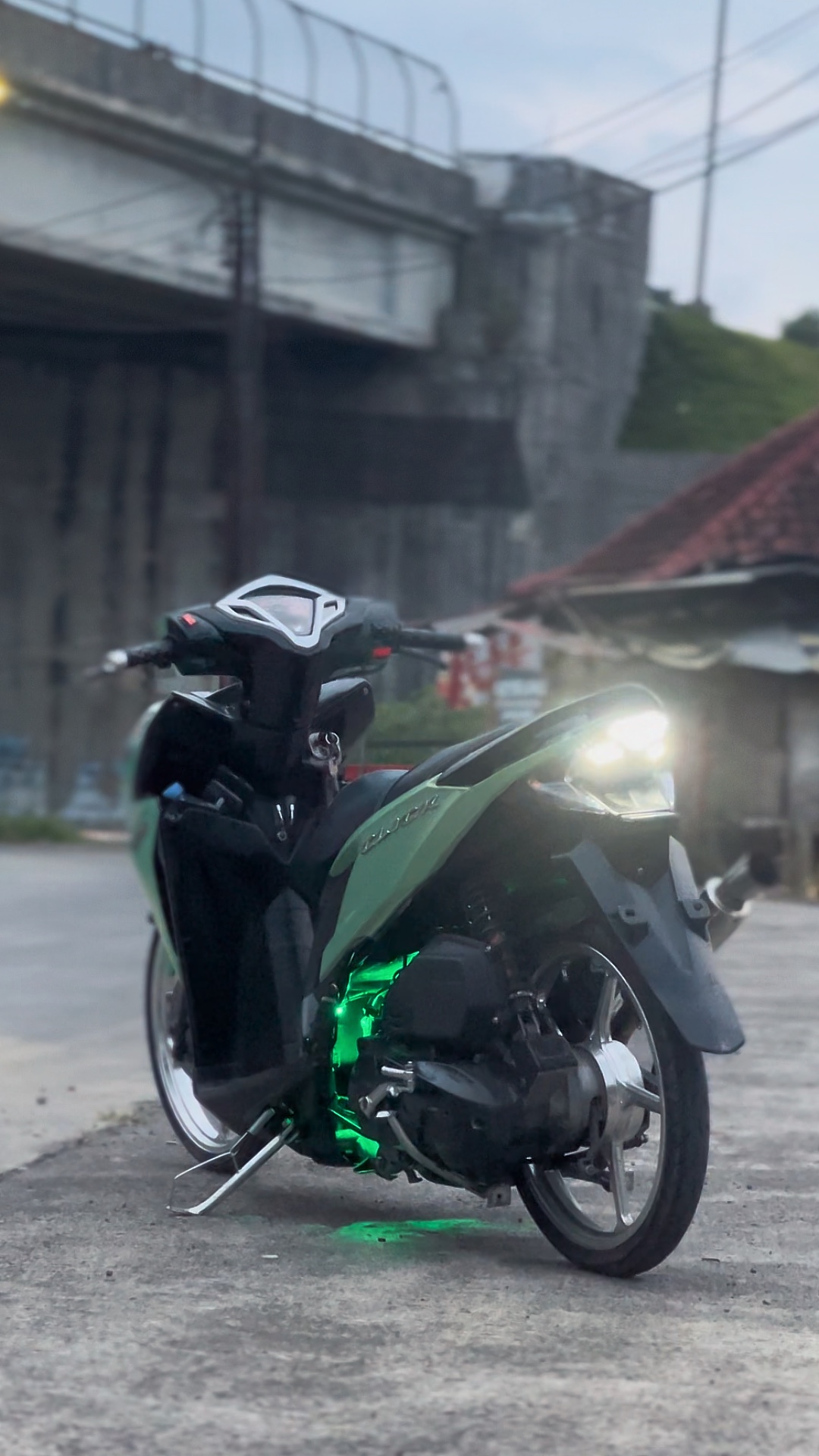 Cover Picture