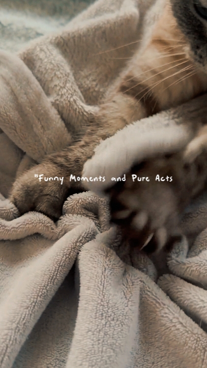 Funny moments
