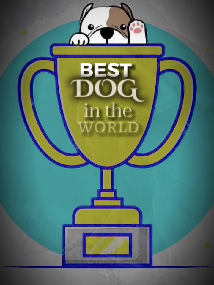 Best dog