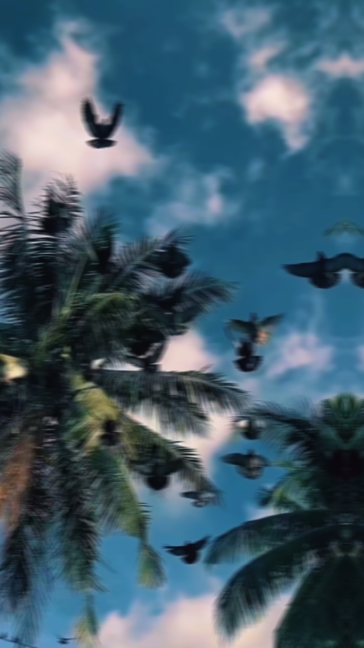 Sped Up Edit 