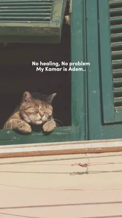 My kamar is adem