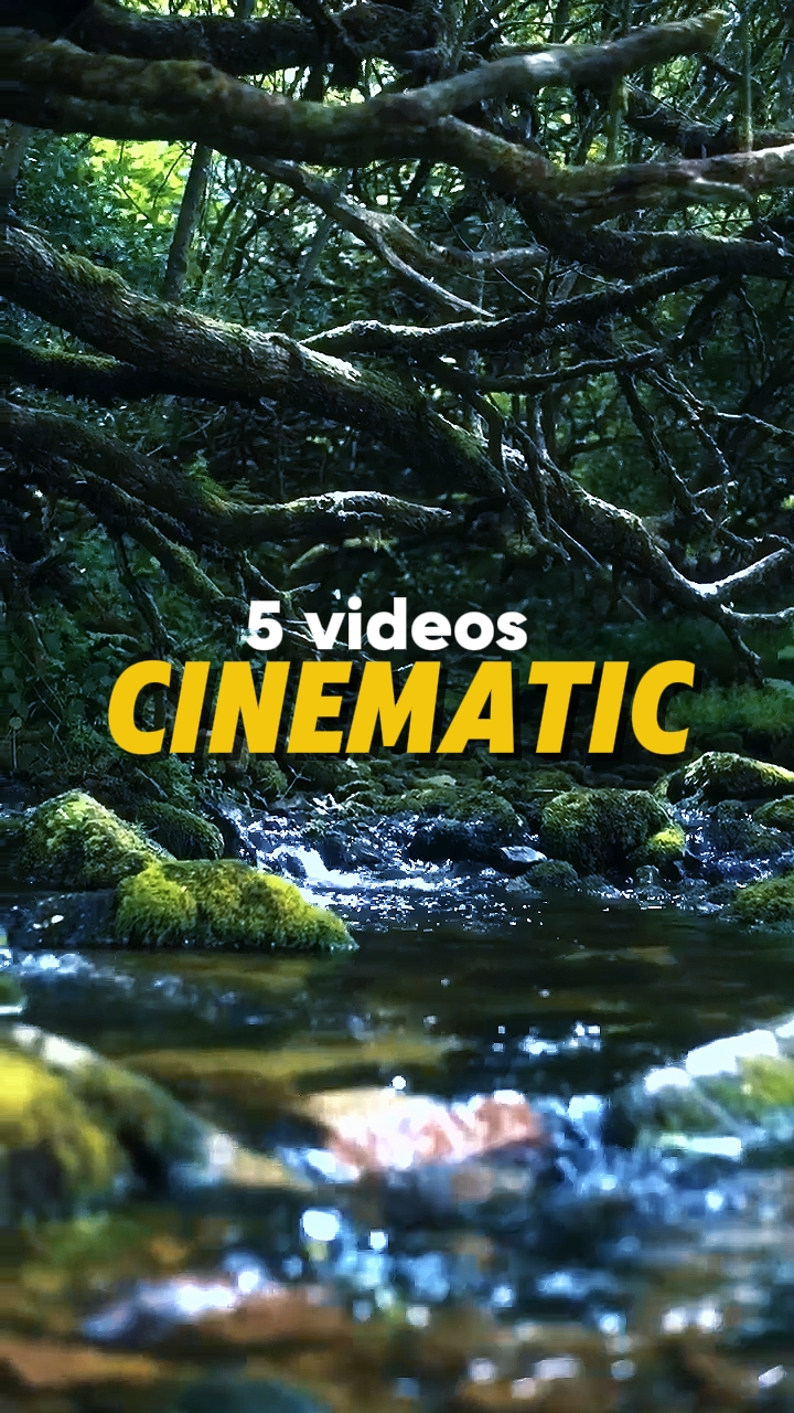 5 vidéos cinématiques 