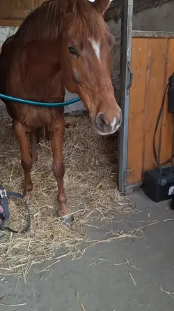 Luna żyje!!!