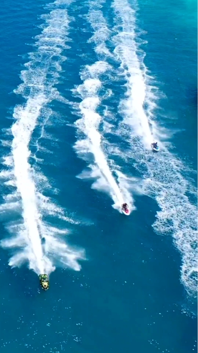 TRÁILER
