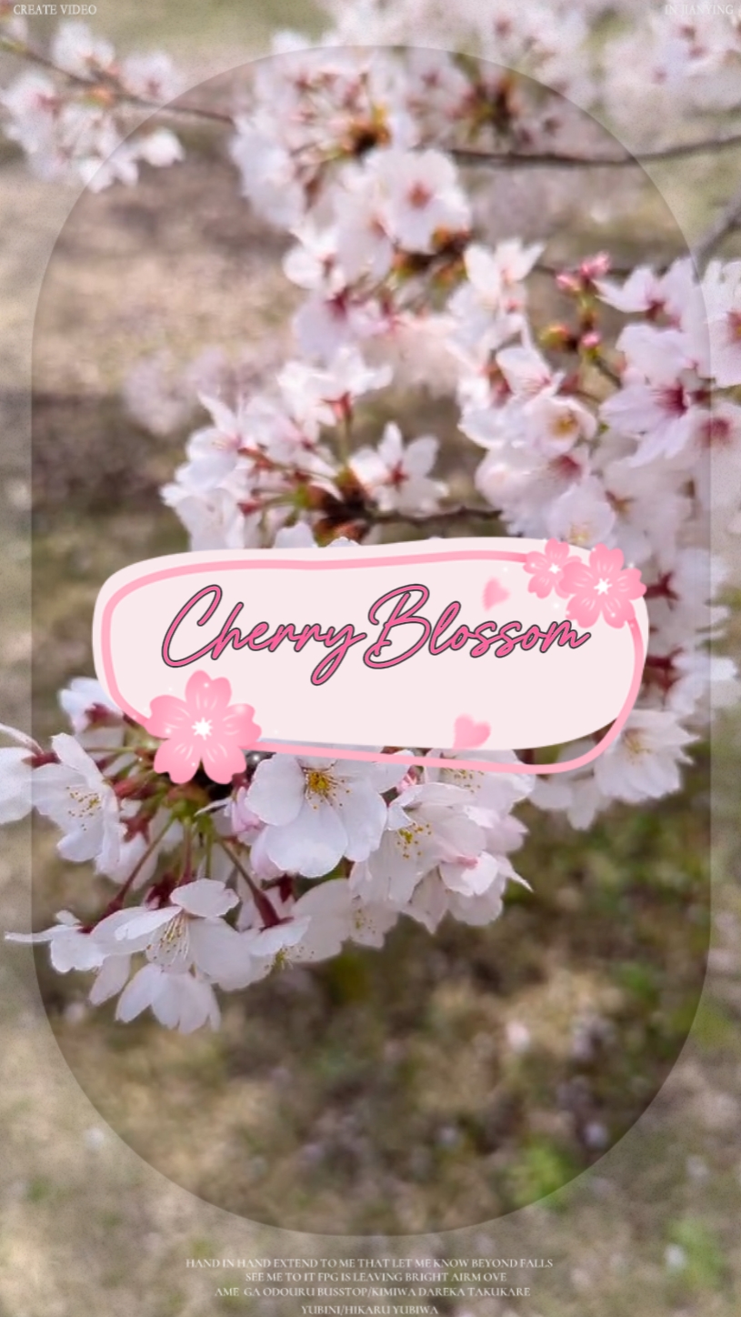 1. Cherry Blossom