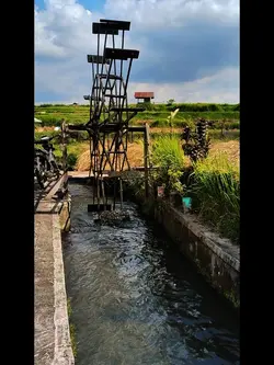 nature relax