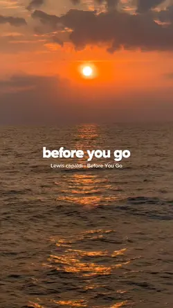 Before You Go