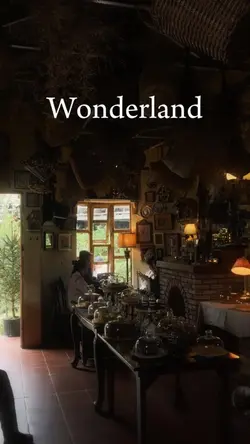 In wonderland