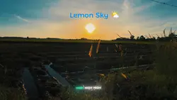 Lemon Sky
