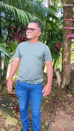 Efeito Soldado 
