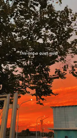 Sunset vibes