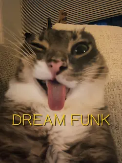 DREAM FUNK