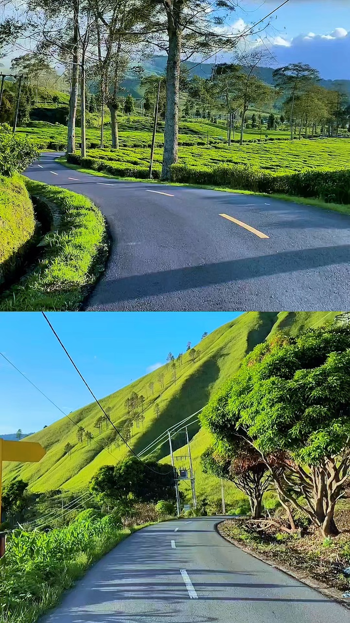 2 비디오 콜라주 hd