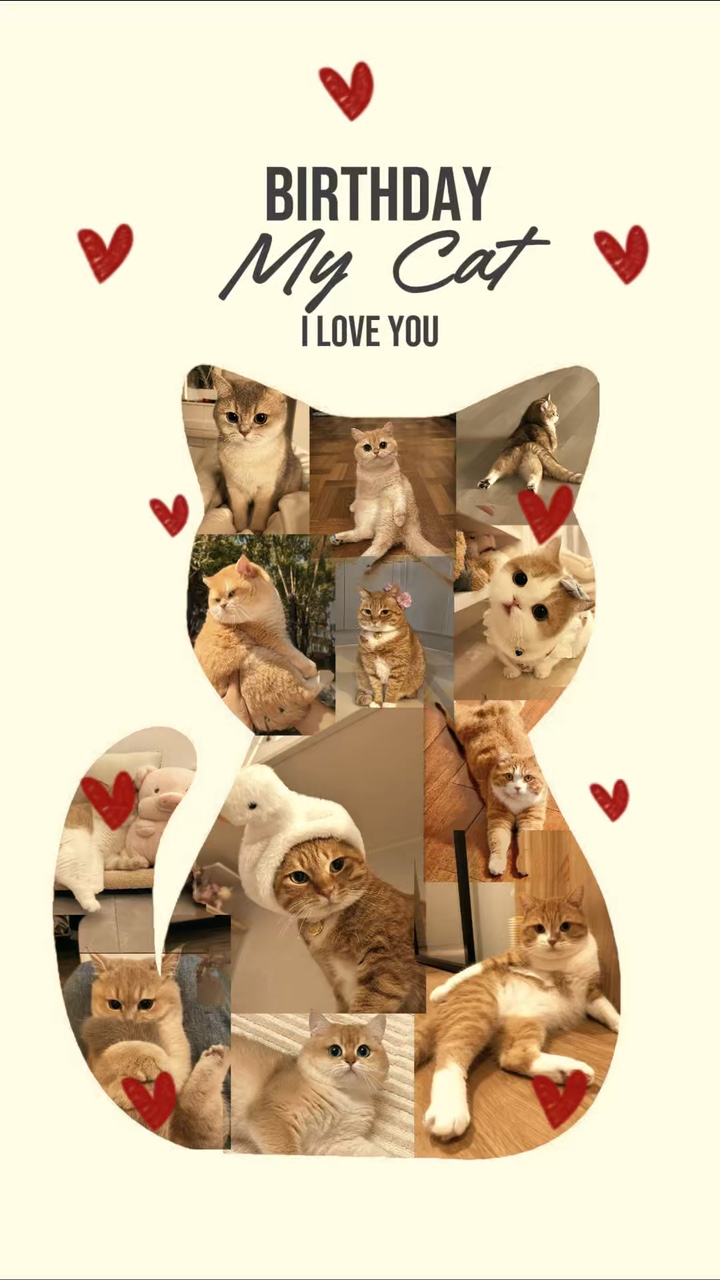 Geburtstag Meine Katze 