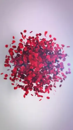 Portrait petals