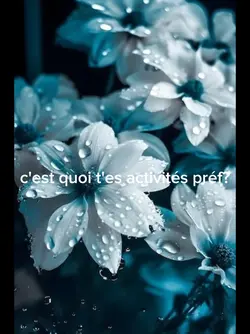 mes activités préf 