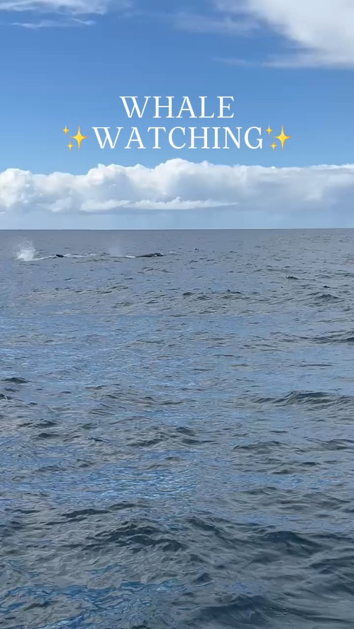 Observação de baleias:) 🐳✨