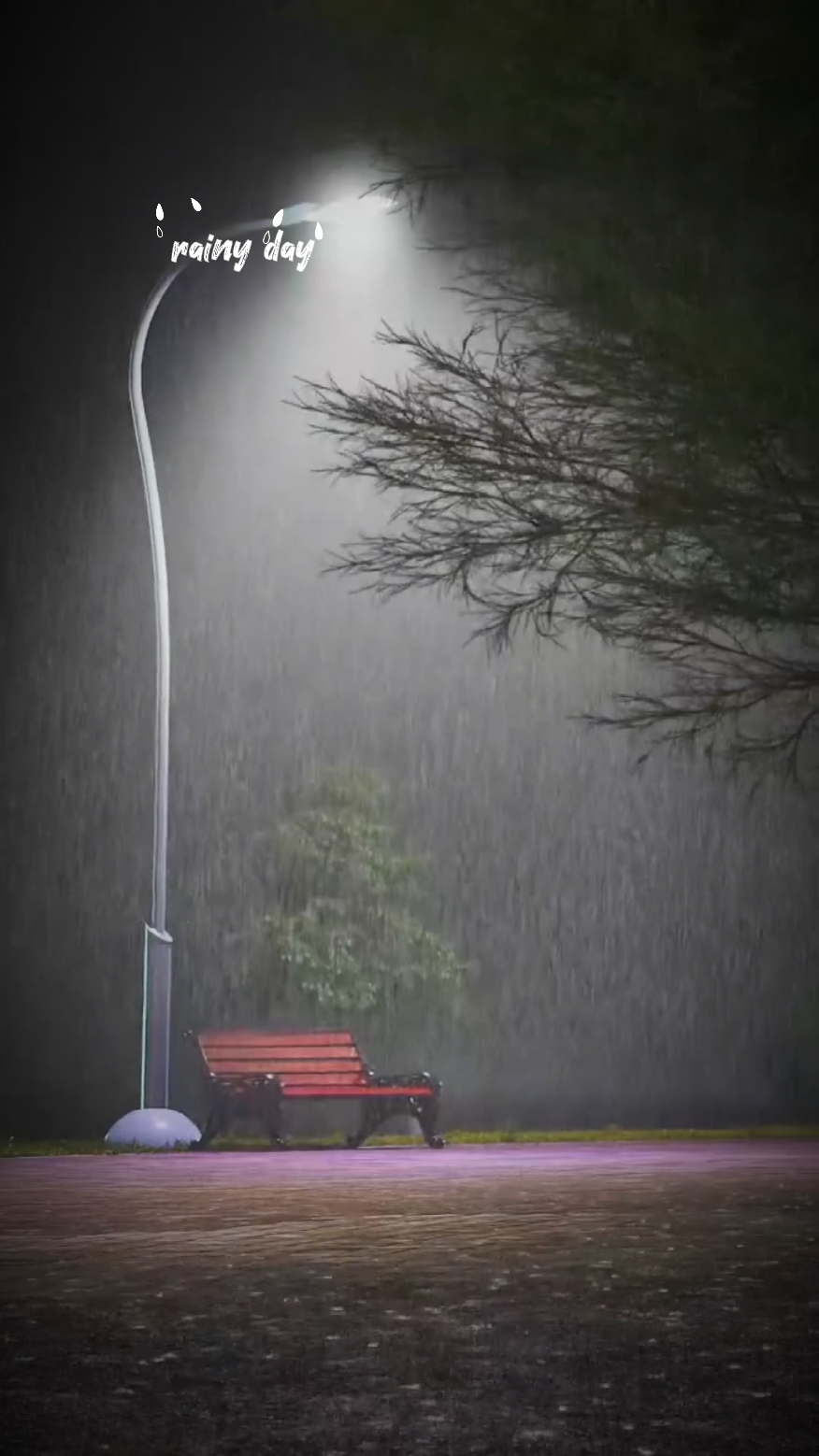 VLOG UNDER THE RAIN