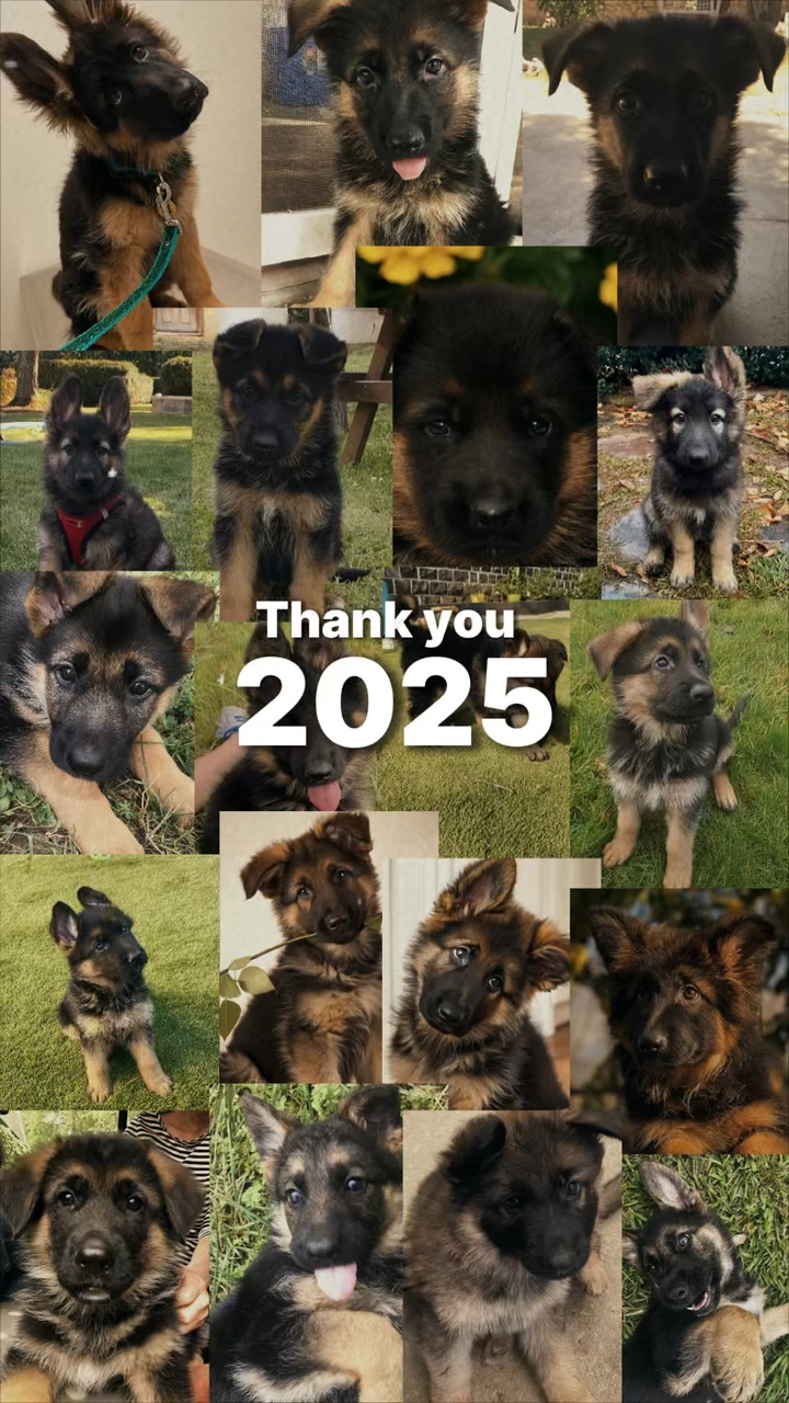 Thank you 2025
