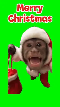 Merry Xmas Monkey 