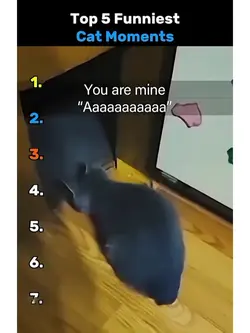 trending template