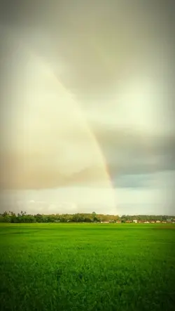 Natural beuty