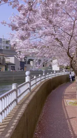 春の音色