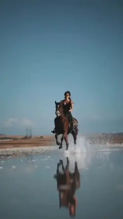 Indian horse