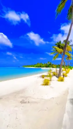 filter iphone jernih