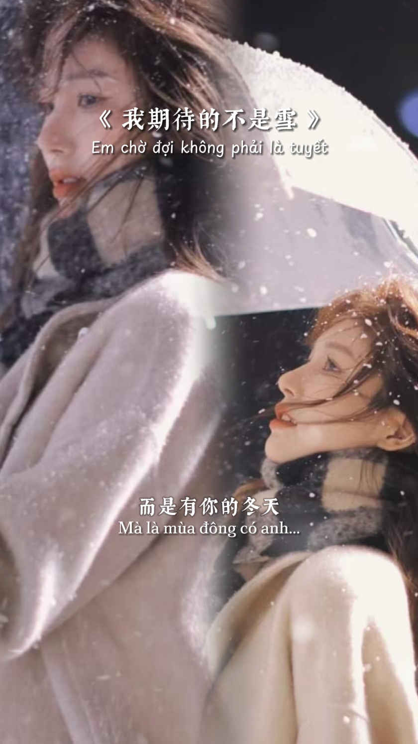 我期待的不是雪