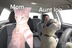 Next is vacay review