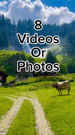 8 videos or photos