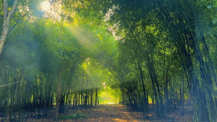Mẫu chill