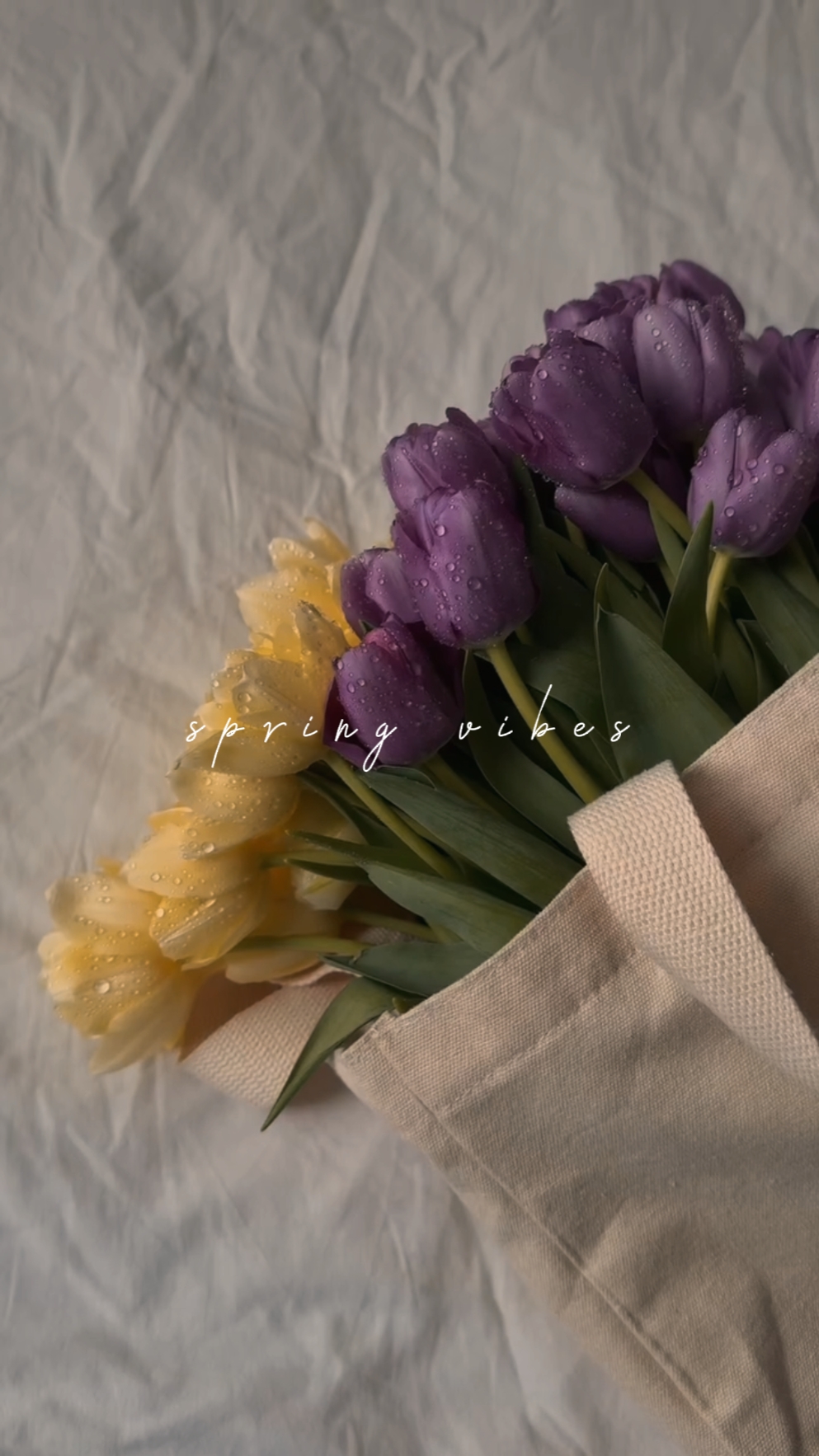 Vibras de primavera