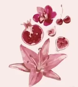 Pink wallpape
