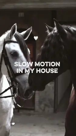 Slow motion 