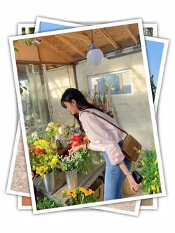 17 Photos Transition