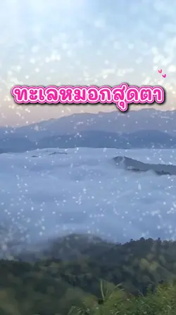 ทะเลหมอกสุดตา