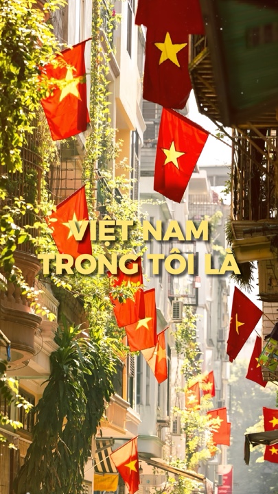 VIỆT NAM TRONG TÔI