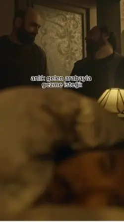 ArabaylaGezmeİsteği