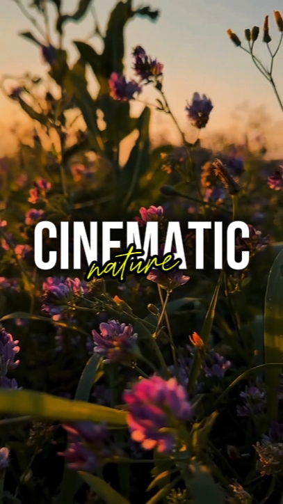 KINEMATISCHE NATUR