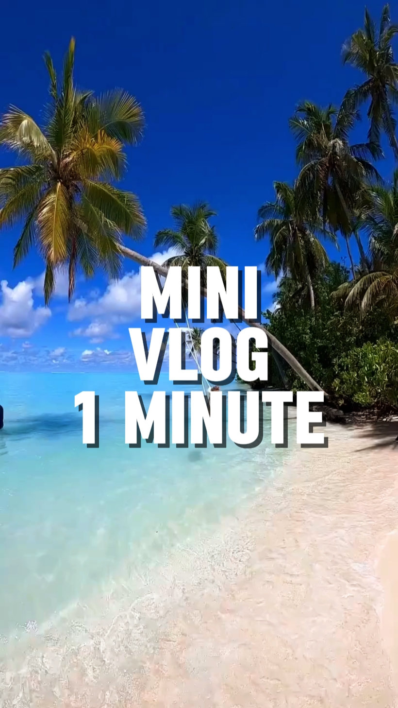 Vlog de 1 minuto 