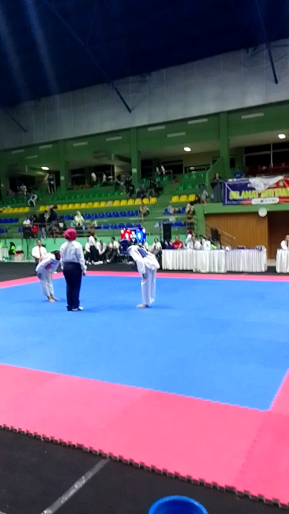 TAEKWONDO SAVAŞÇISI